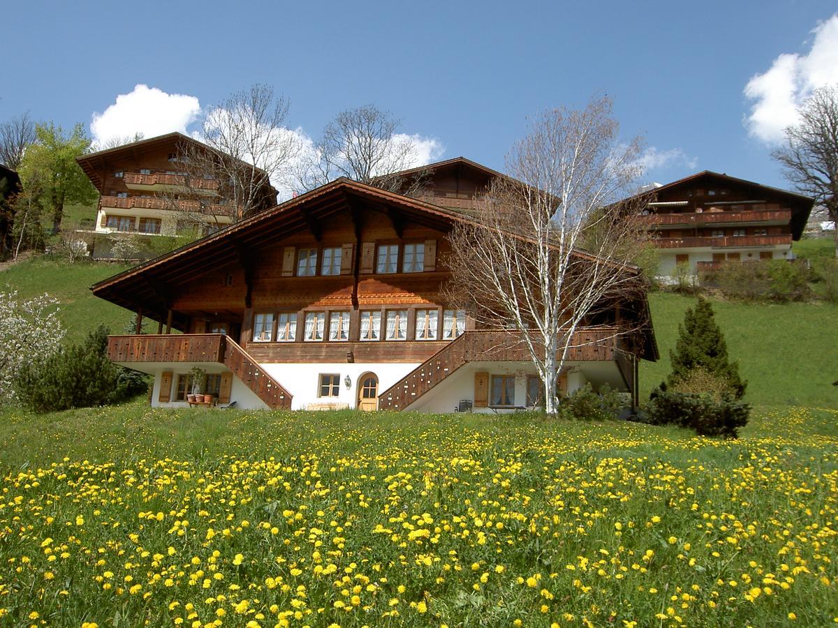 Chalet Unter Dem Stein Grindelwald Bagian luar foto