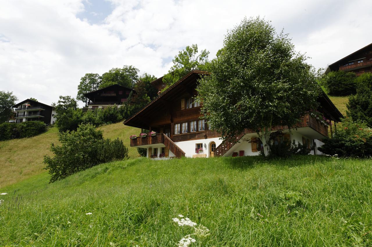 Chalet Unter Dem Stein Grindelwald Bagian luar foto