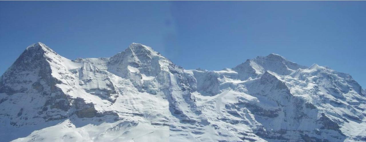 Chalet Unter Dem Stein Grindelwald Bagian luar foto